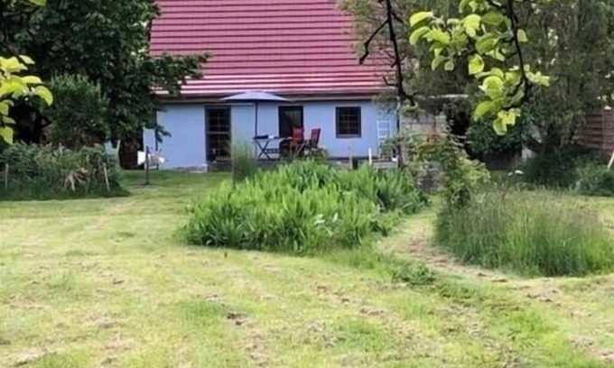 Bugewitz House | Vacation home for 4 guests with 110m² in Bugewitz (273588)