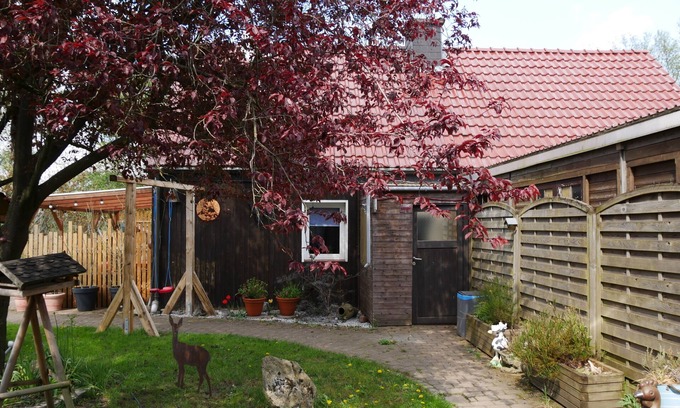 Huenxe House | Vacation home for 4 guests with 40m² in Hünxe (166805)