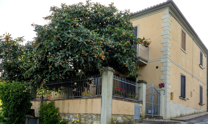 Collesalvetti House | Vacation Home La Lodola, in the Tuscan countryside with views of the valley