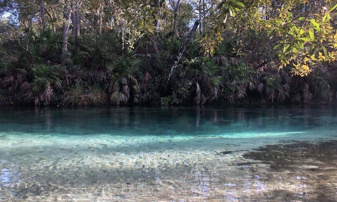 Weeki Wachee Gardens House | Vacation Home With For Hire Charter Boat, Your Host Is Your Captain!