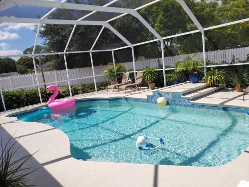 Citrus Park House | Vacational, private heated pool house