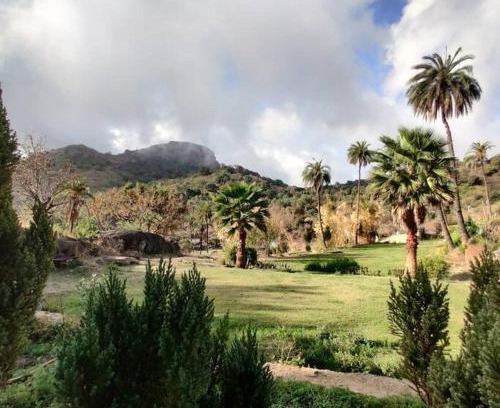 Mount Abu House | Valley Nest for 6-12 PAX