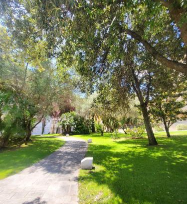 Sassari Apartment | Valley View Apartment