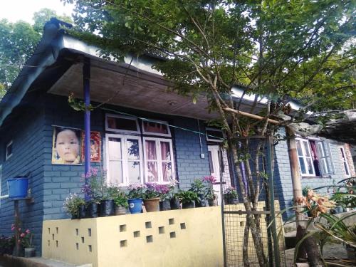 Aritar House | Vamoose Tragopan
