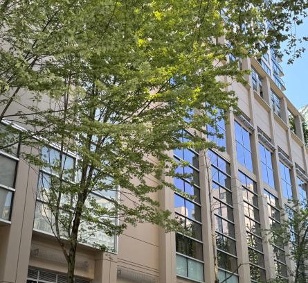 Downtown Vancouver Apartment | Vancouver Downtown Central 1 bedroom Condo