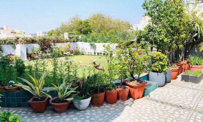 Safdarjung Enclave Bed & Breakfast | vandanas bed and breakfast