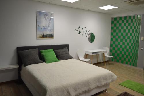 Satu Mare House | Vasarely Luxury Flat
