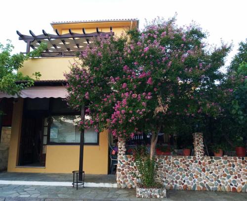 Kala Nera Apartment | Vasileiou