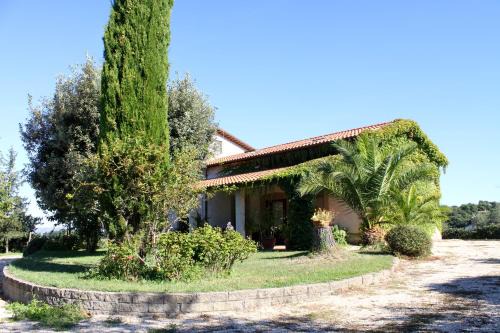 Viterbo Bed & Breakfast | Vecchio olmo