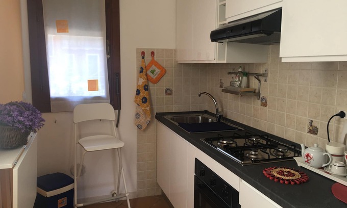 Saragozza-Porto Apartment | Via Montenero apartment