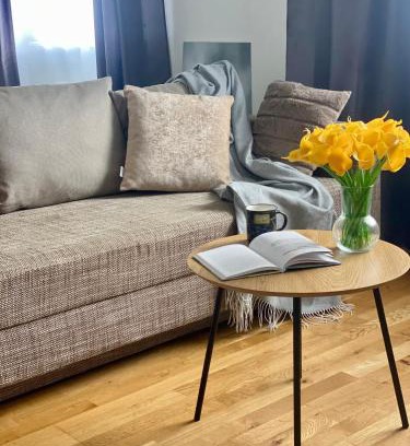Narva Apartment | Victoria Apartment