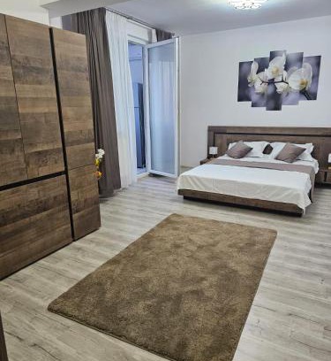 Jibert Apartment | Victoriei Lux