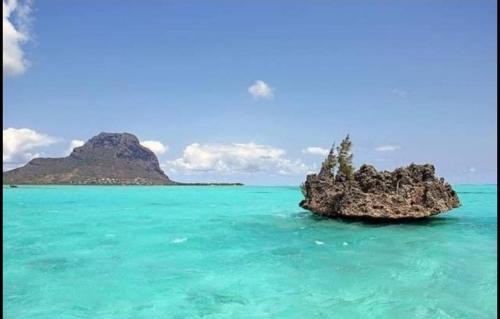 Le Morne Brabant Apartment | View on Ilot Fourneau