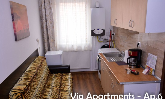 Timisoara Apartment | Vig Apartments Timisoara