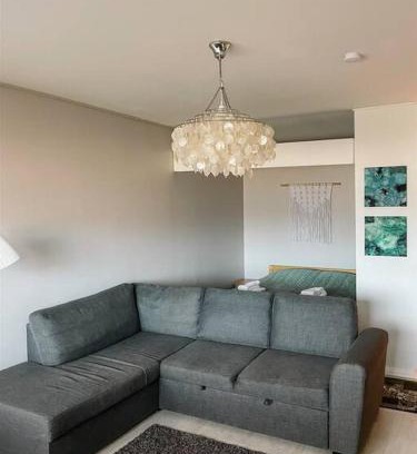 Jamsa Apartment | Viihtyisä yksiö lähellä palveluita. (Himos 7,9 km)