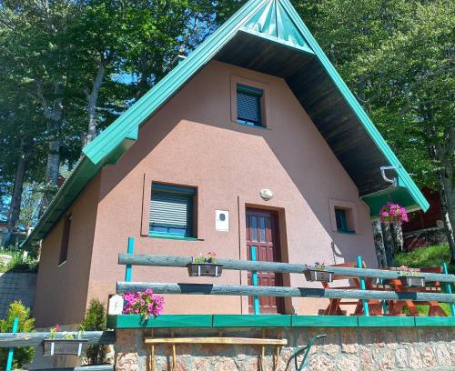 Zabljak Villa | Vila Darija