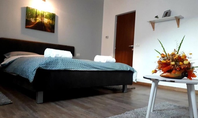 Alba Iulia Villa | VILA FRANCISCA10 ALBA IULIA