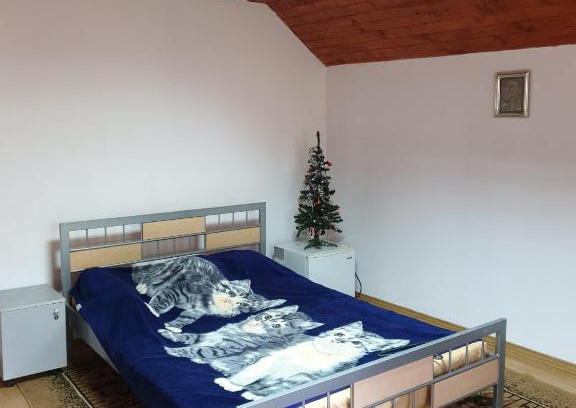 Buleta Villa | Vila Luminita