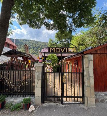 Azuga House | Vila Movilă