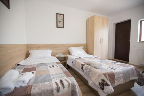 Constanta House | vila Tania