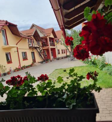 Zarnesti House | Vila Vlăduț