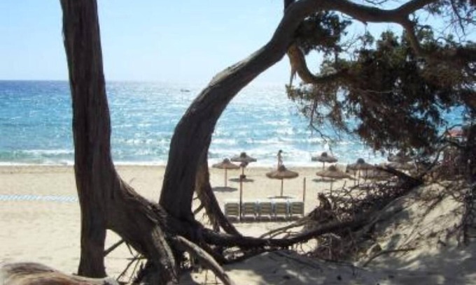 Chia Apartment | Villa Bea app. In Grande Chia you can walk to the "Dune Campana" beach.