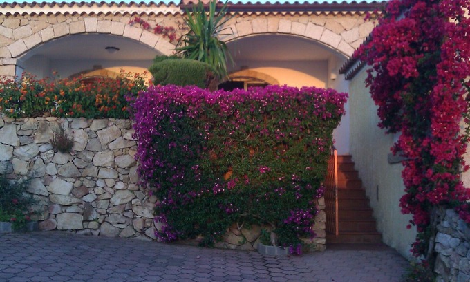 La Conia House | Villa beautiful sea view Cannigione Costa Smeralda independent garden