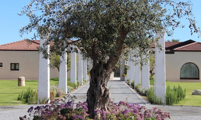 Maddalenedda Villa | Villa Corte Maddalena