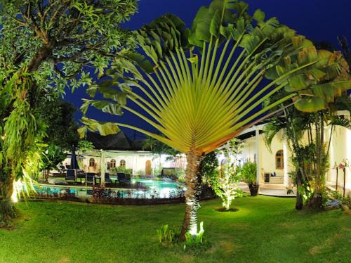 Sanur Bed & Breakfast | Villa Costa Plenty