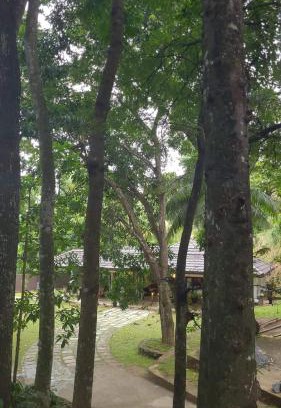Tennekumbura Hotel | Villa D55