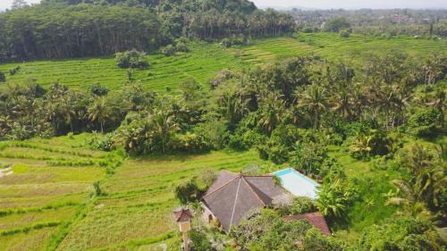 Samplangan Villa | Villa Dandan Bukit