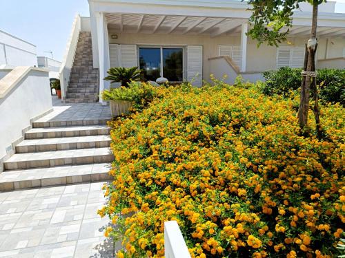 Marina di Mancaversa Villa | Villa direttamente sul mare Gallipoli