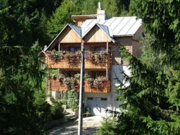 Gura Humorului Villa | Villa Doina