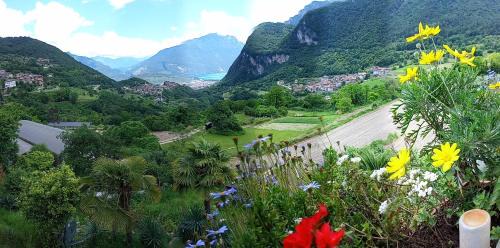 Ville del Monte Apartment | Villa Dream alla Beppa