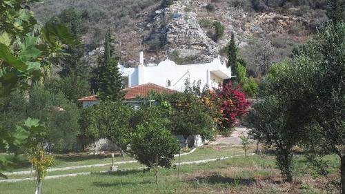 Larissos Villa | Villa Dunes 350m from the sandy beach