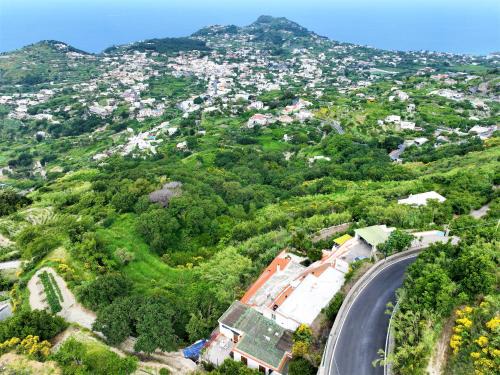 Serrara Fontana Villa | Villa Gesualda