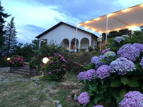 Ricco del Golfo House | Villa Gianna