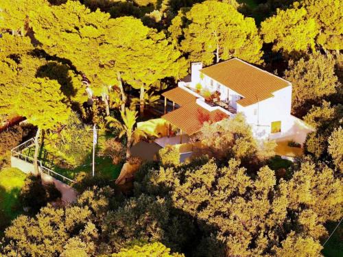 Vouliagmeni Villa | Villa Hermes
