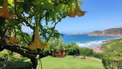 Albandi Villa | Villa hOla