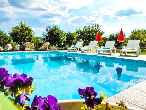 Dicmo Villa | Villa Iva