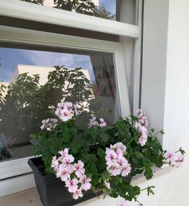 Citta Sant'Angelo House | Villa Jolanda
