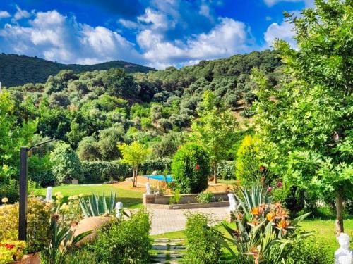 Vatolakkos Villa | Villa Kalaitsidi - plunge pool, gym and unique gardens