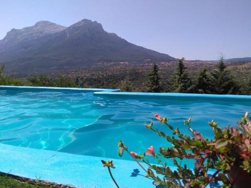 Oliena House | Villa L'Oleandro