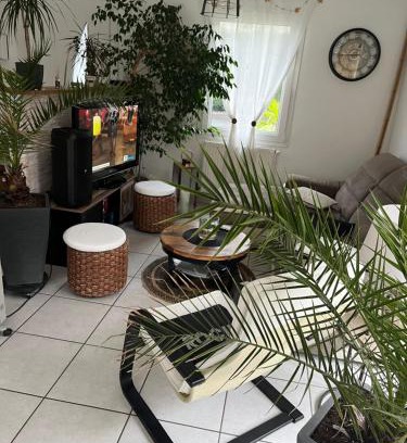 Andrezieux-Boutheon Villa | Villa le jasmin très calme