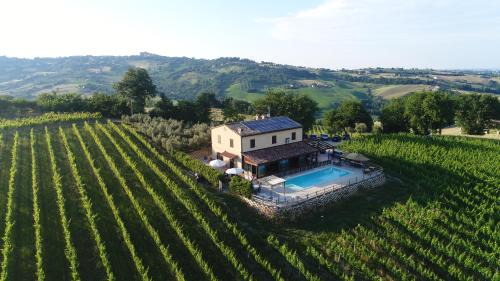 Loro Piceno House | Villa le Vigne