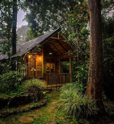 Imaduwa Cabin | Villa