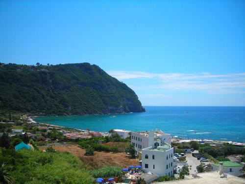 Forio House | Villa Loreta