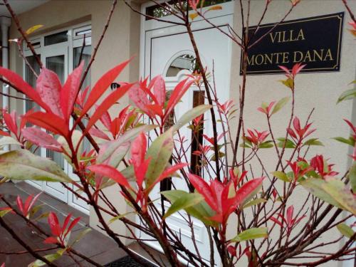 Zwanenburg Apartment | Villa Monte Dana