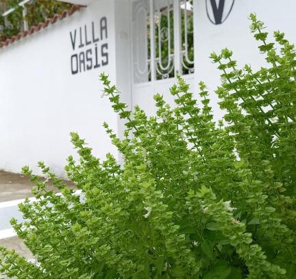 Berat Bed & Breakfast | Villa Oasis