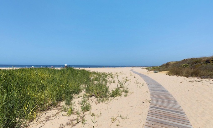 Carrasqueira House | Villa 'Olive Tree House' with Private Pool, Private Garden and Wi-Fi